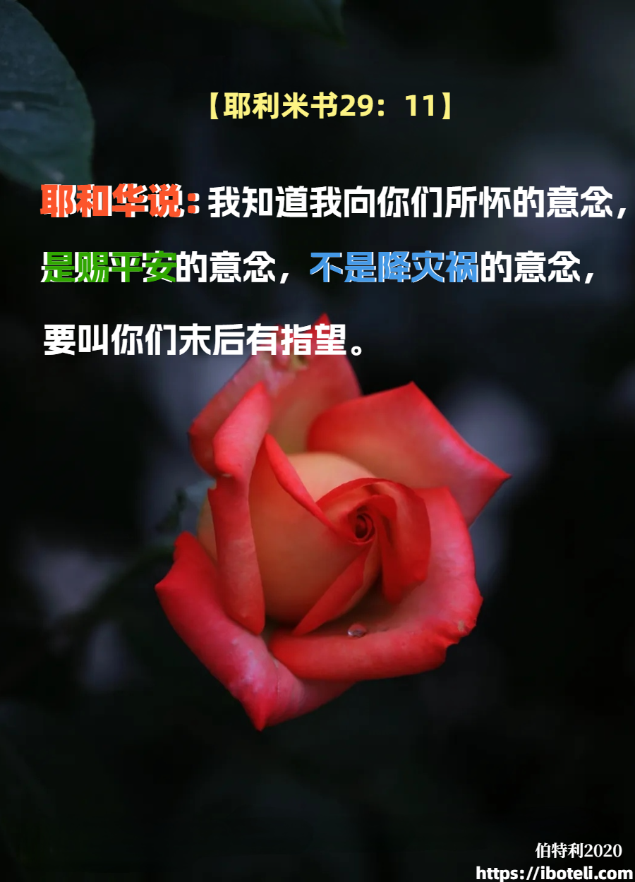 领会天父的心意（114）赐平安的意念