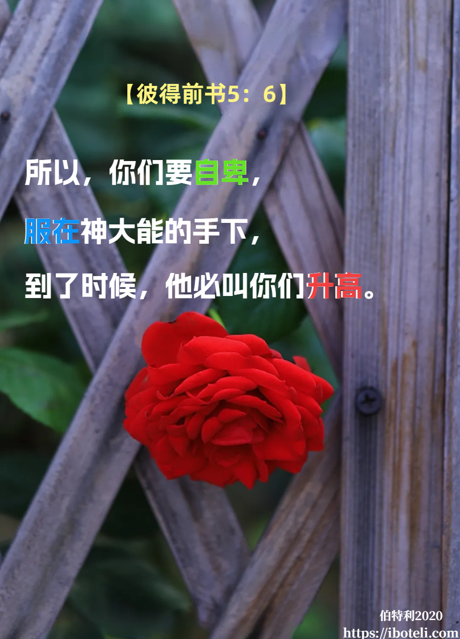 领会天父的心意（114）赐平安的意念