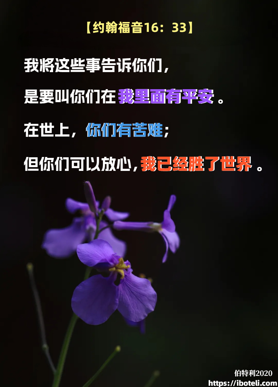 领会天父的心意（115） 放心，在祂里面有平安