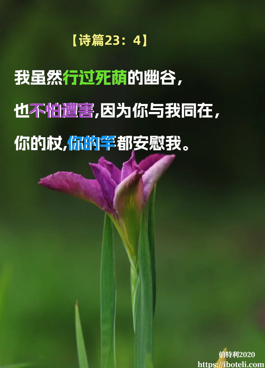 领会天父的心意（115） 放心，在祂里面有平安