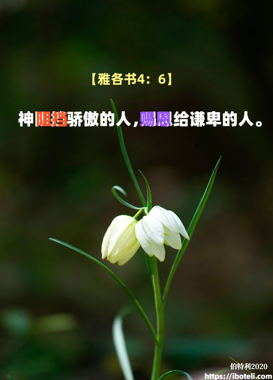 领会天父的心意（116）谦卑