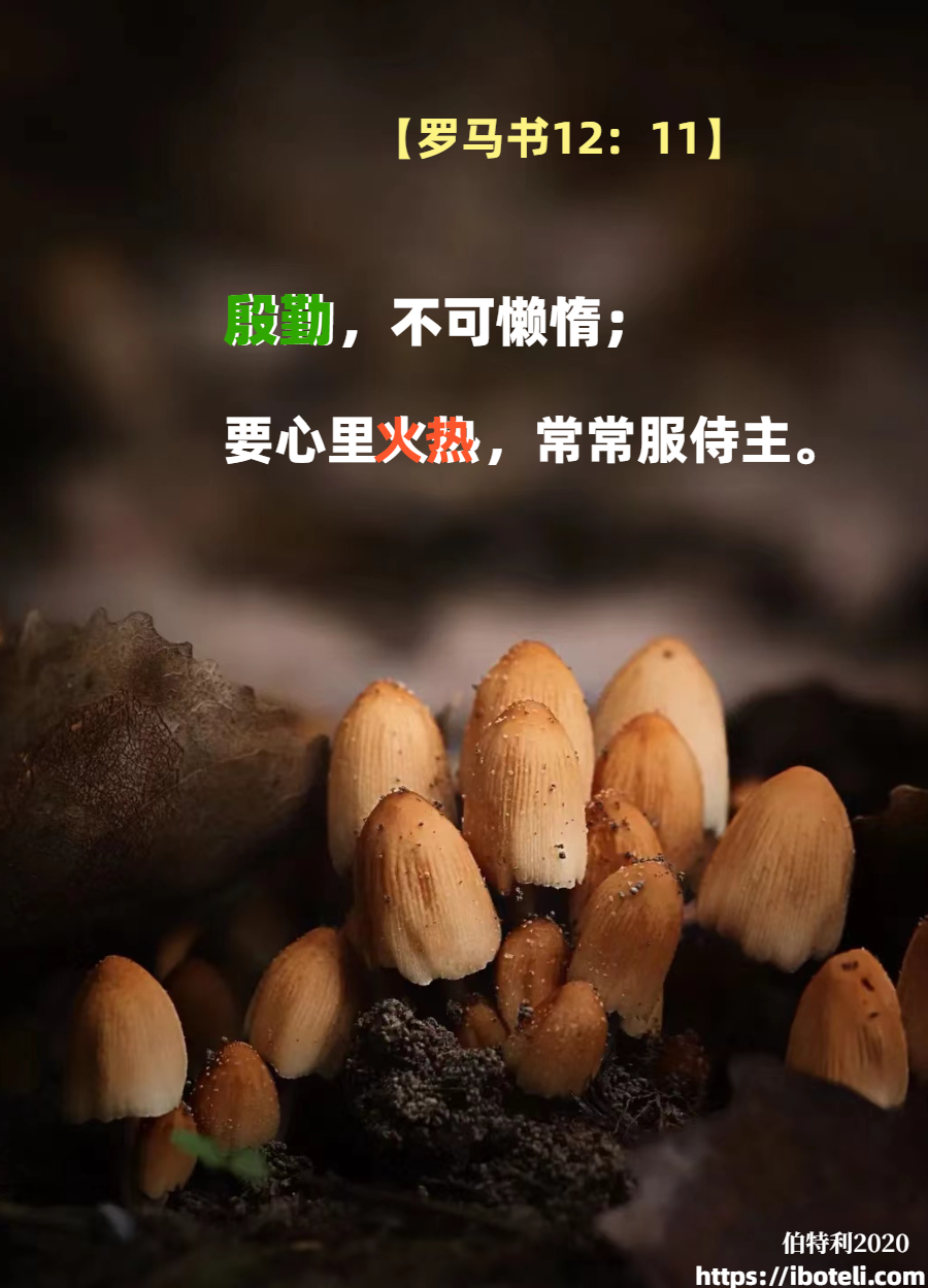 领会天父的心意（117）心里火热，常常服事