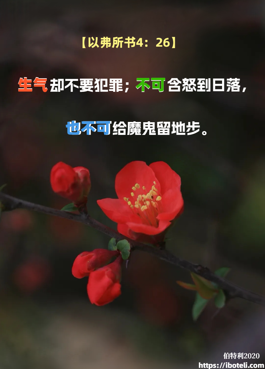 领会天父的心意（118）不可含怒到日落