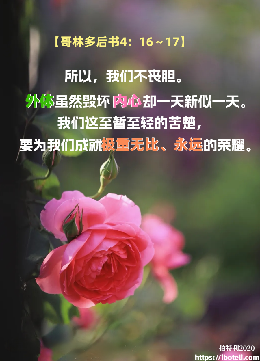 领会天父的心意（120）一天新似一天