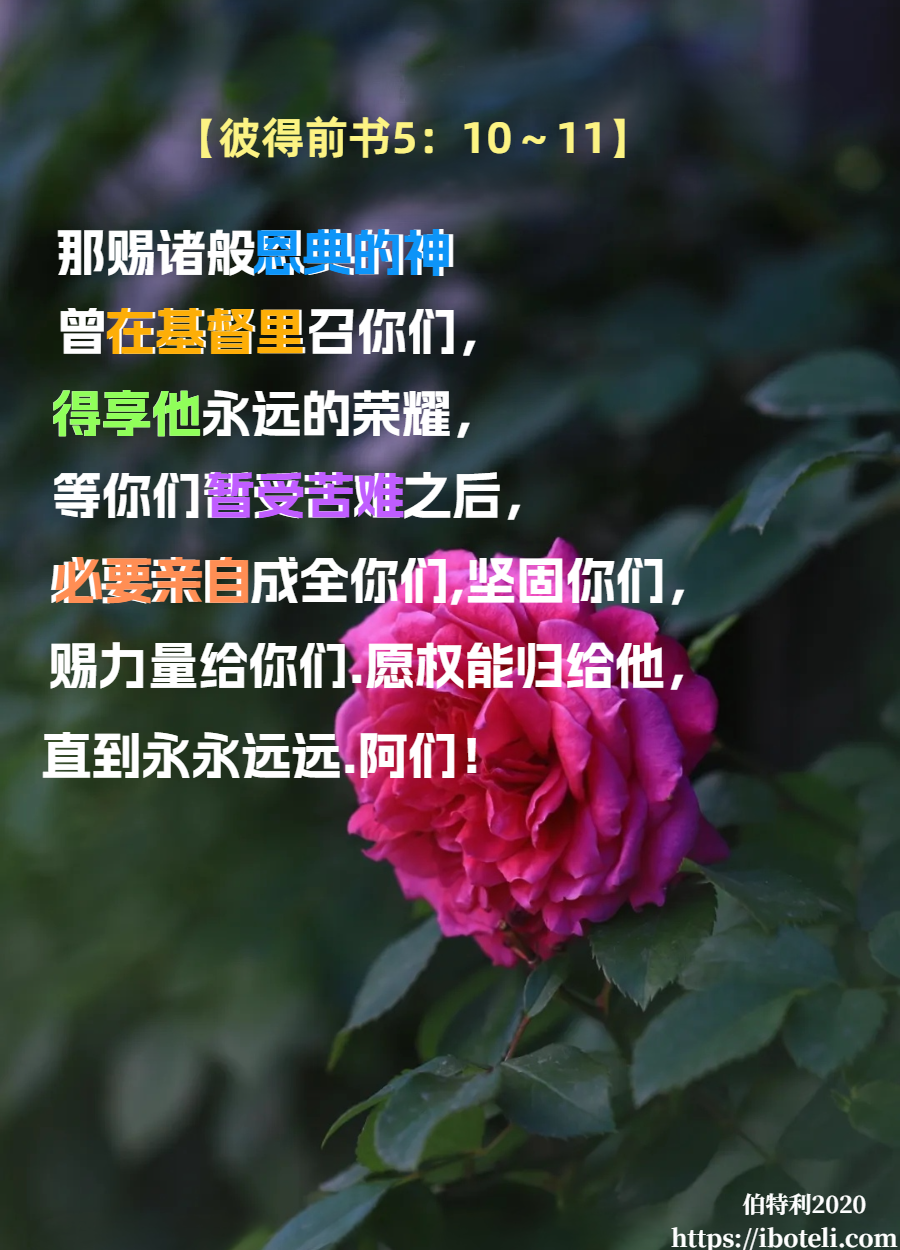 领会天父的心意（120）一天新似一天