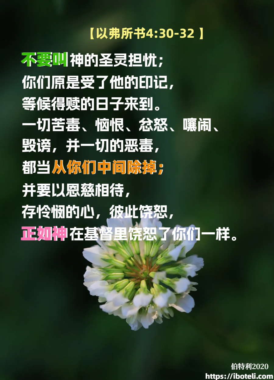领会天父的心意（122）医治释放