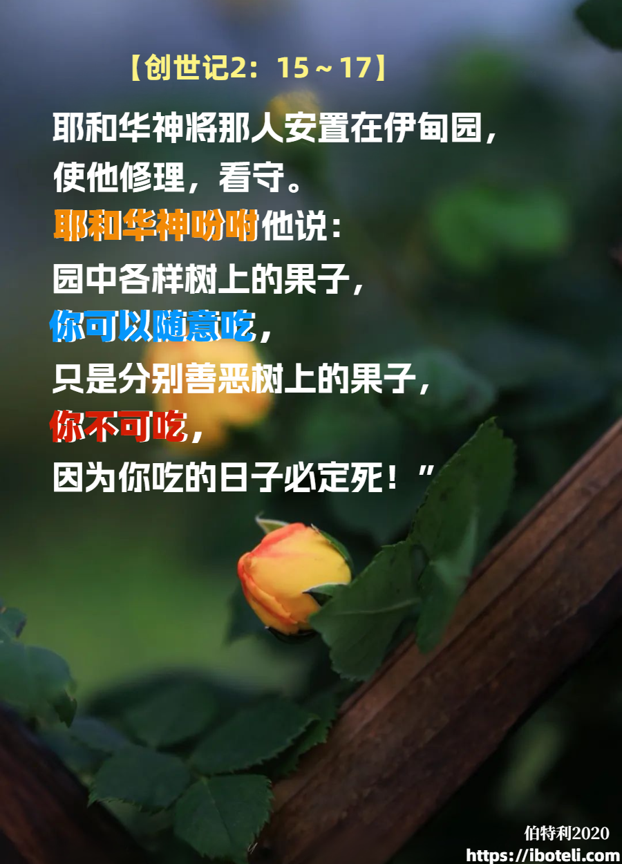 领会天父的心意（123）公平和公义