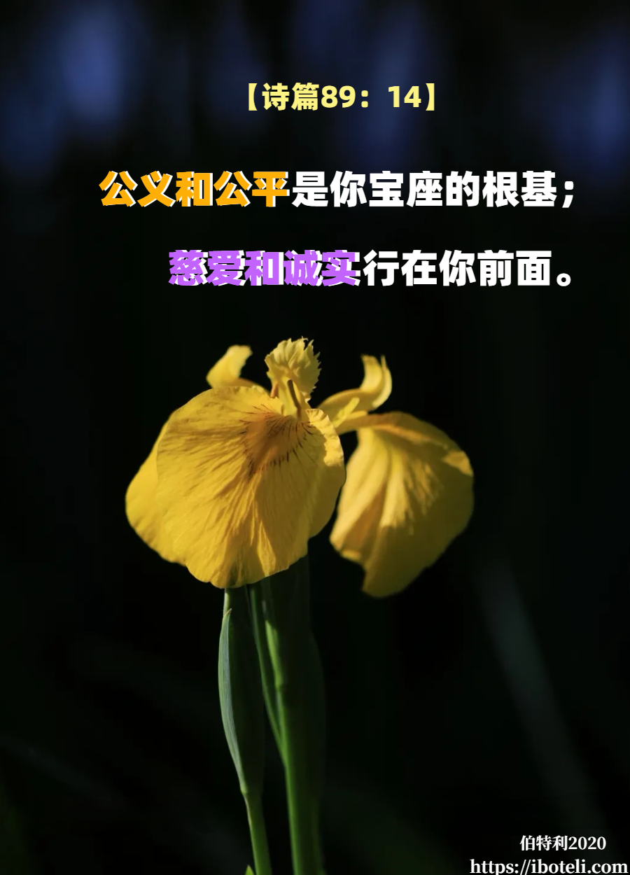 领会天父的心意（123）公平和公义