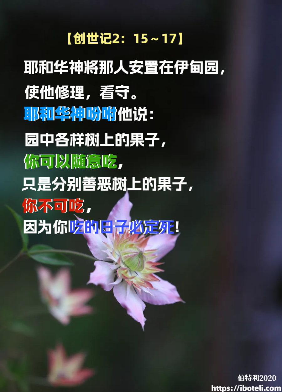 领会天父的心意（124）正确决定范围