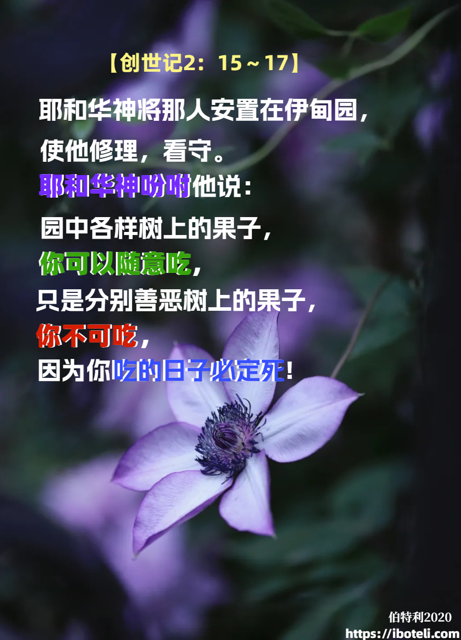 领会天父的心意（125）具体正确决定