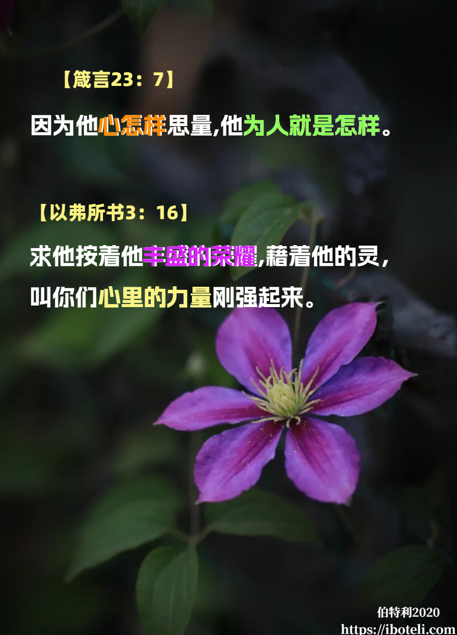 领会天父的心意（125）具体正确决定
