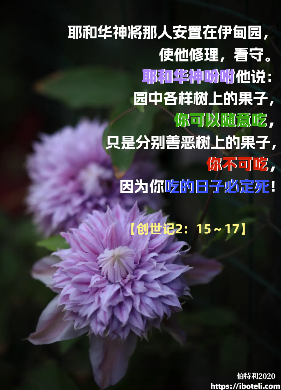 领会天父的心意（126）真理与运用