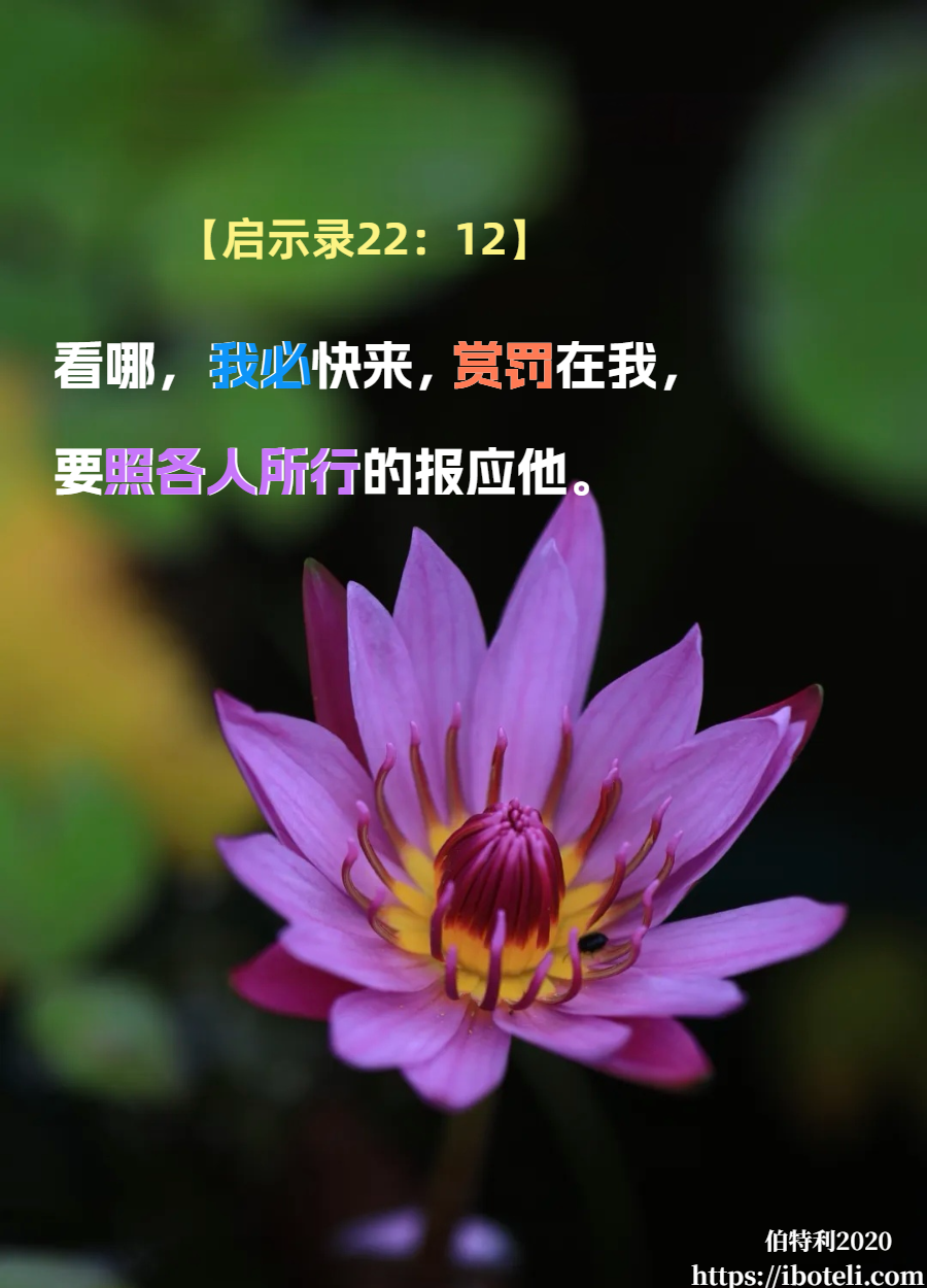 领会天父的心意（126）真理与运用