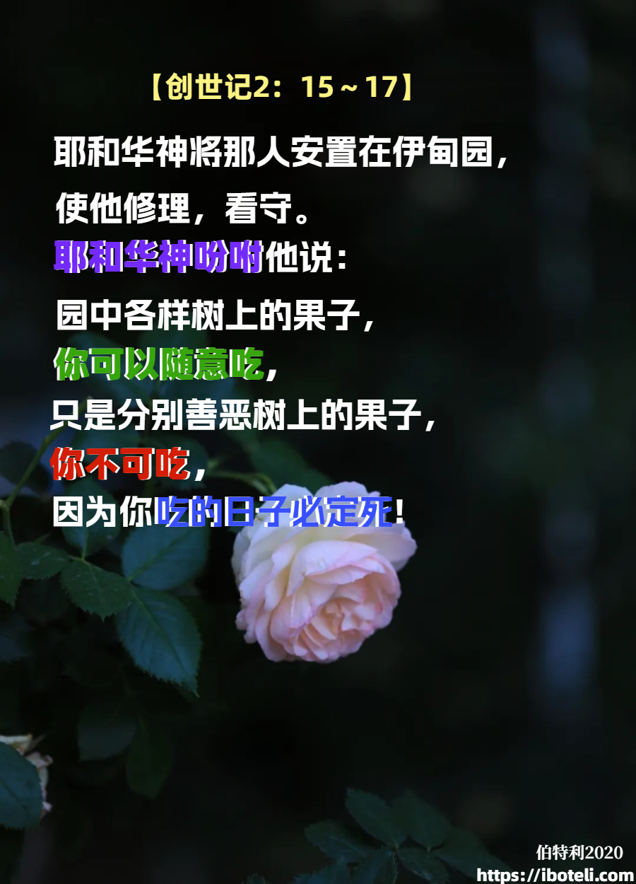 领会天父的心意（127）真理与运用（续）
