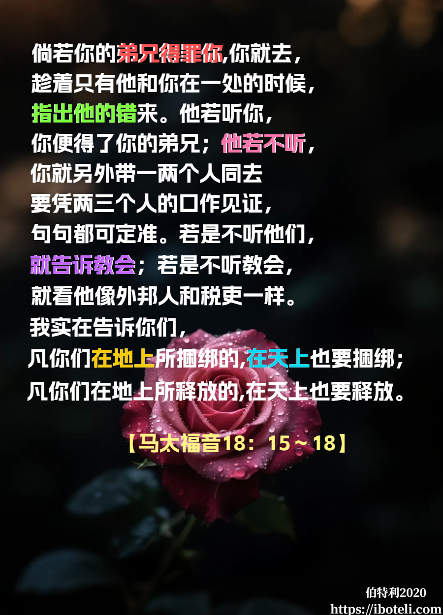 领会天父的心意（127）真理与运用（续）