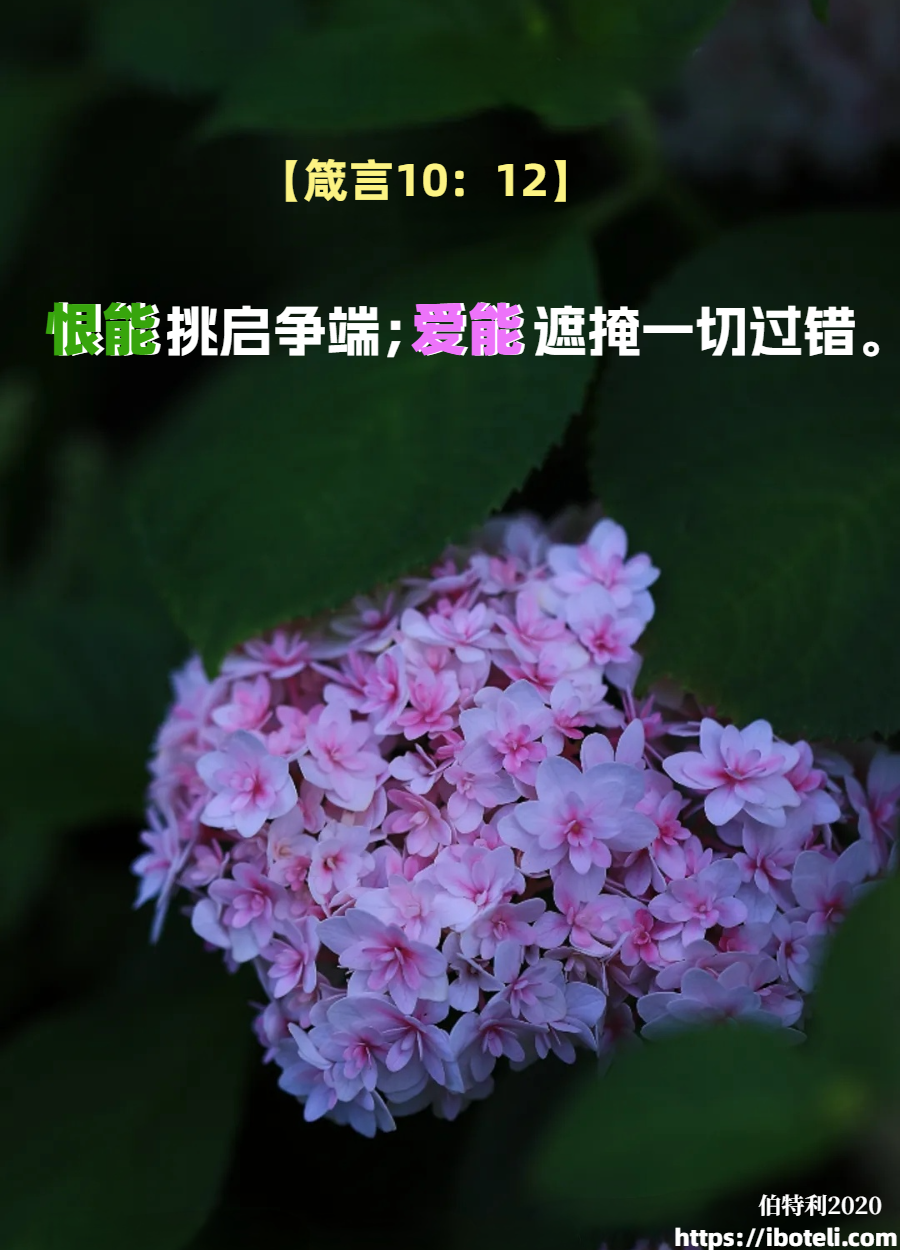 领会天父的心意（128）爱是恒久忍耐