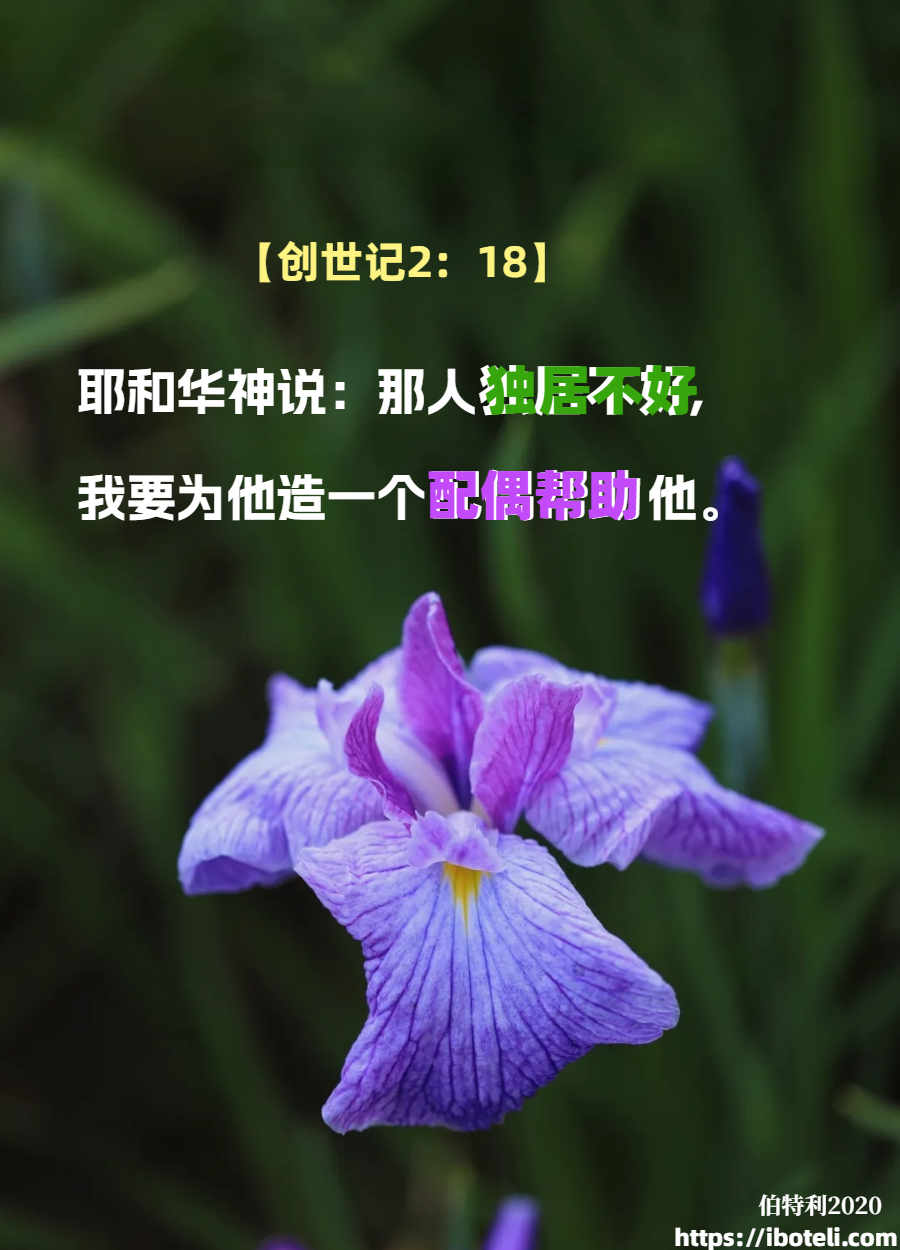 领会天父的心意（129）爱终究成为品格