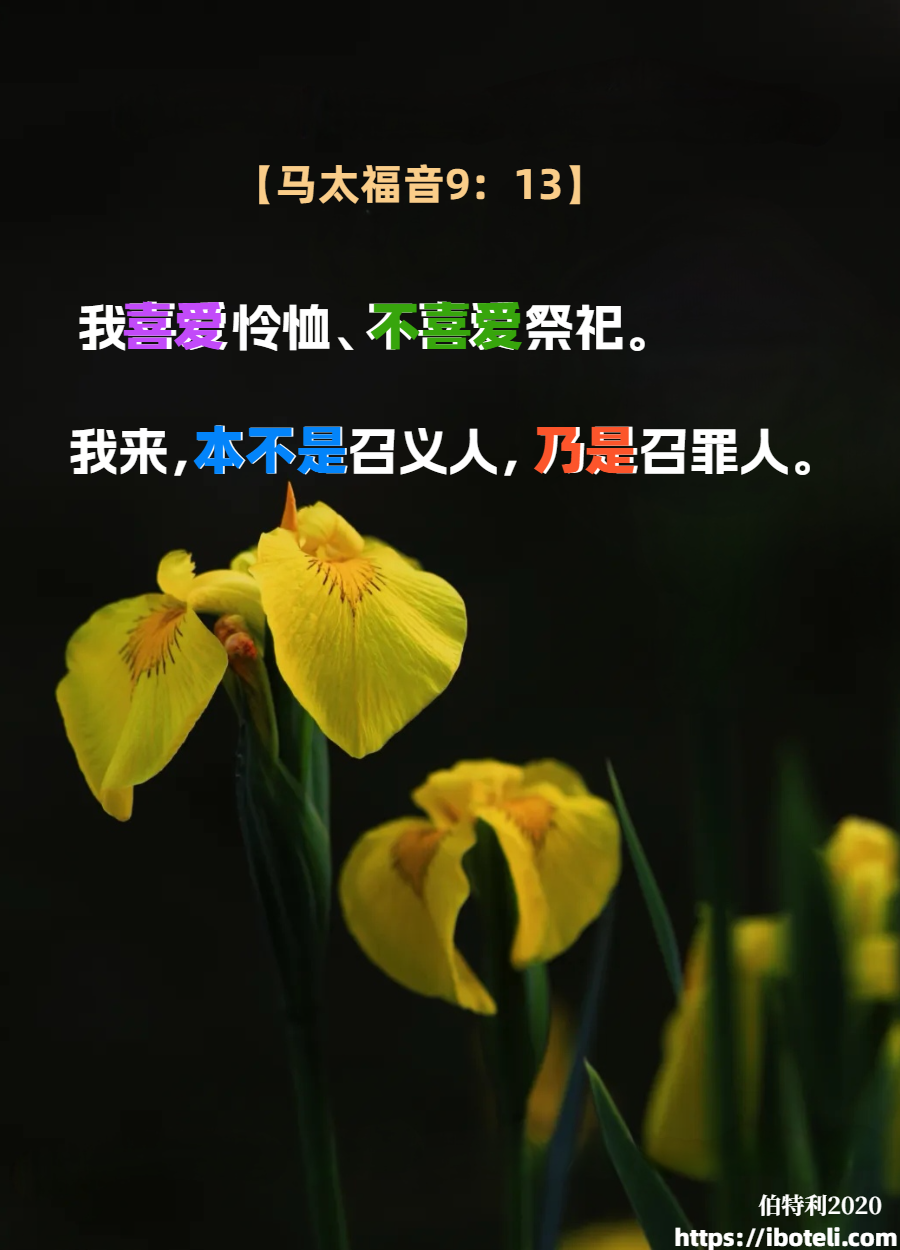 领会天父的心意（130）怜恤人者有福