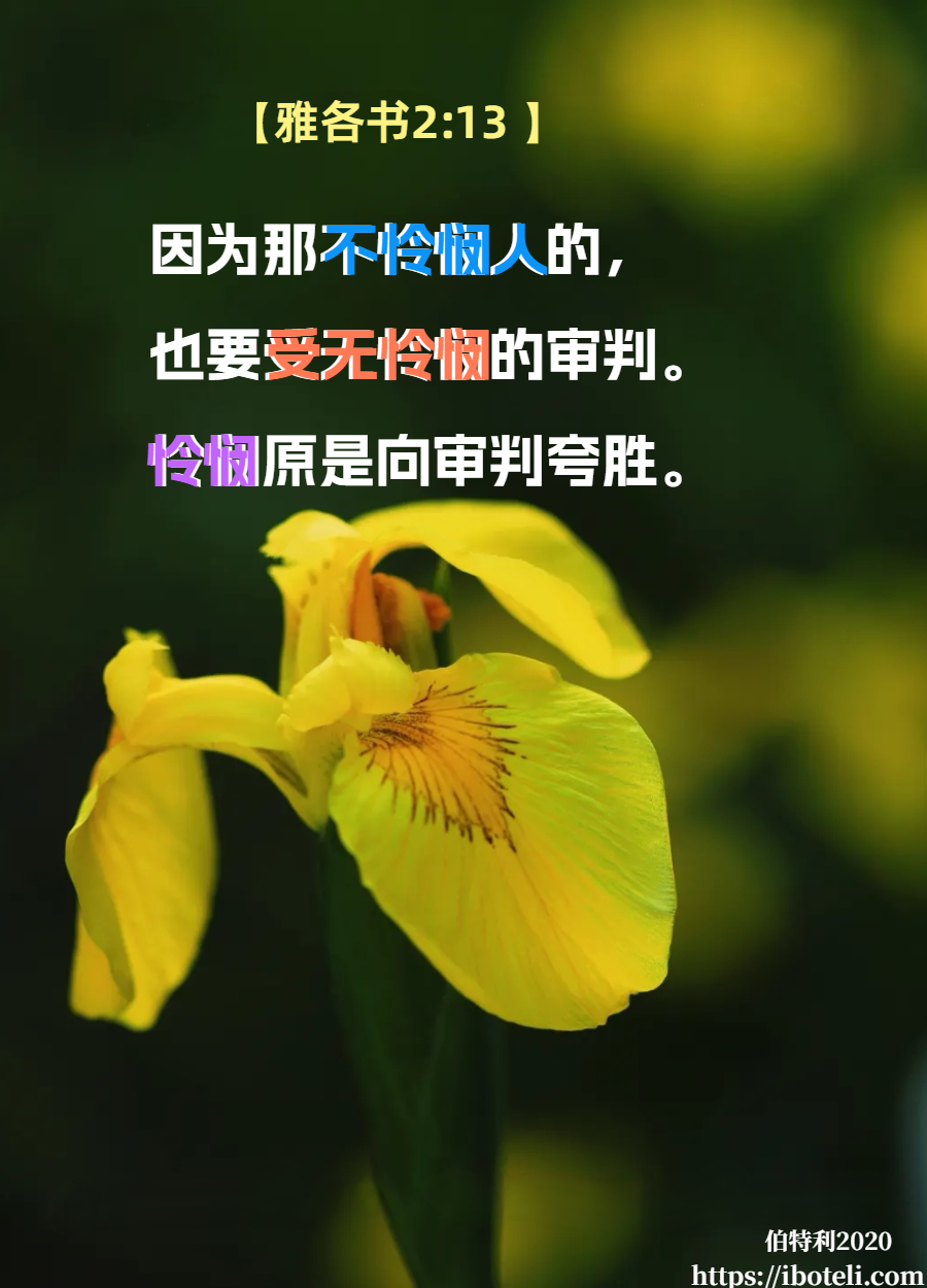 领会天父的心意（130）怜恤人者有福