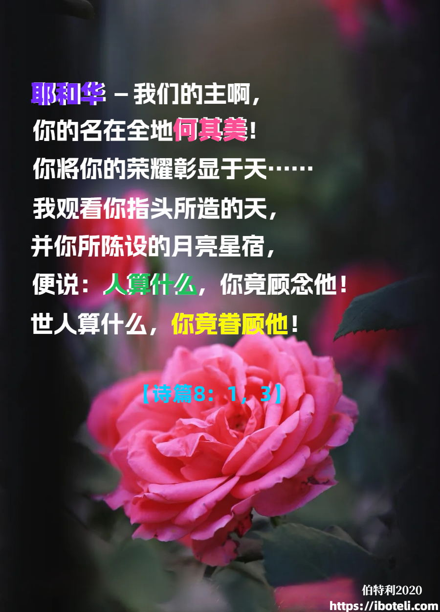领会天父的心意（131）主的荣耀彰显于天