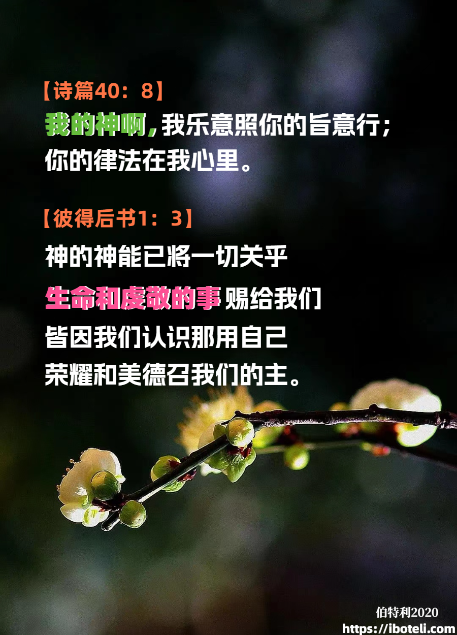 领会天父的心意（132）遵行主道，必得安息
