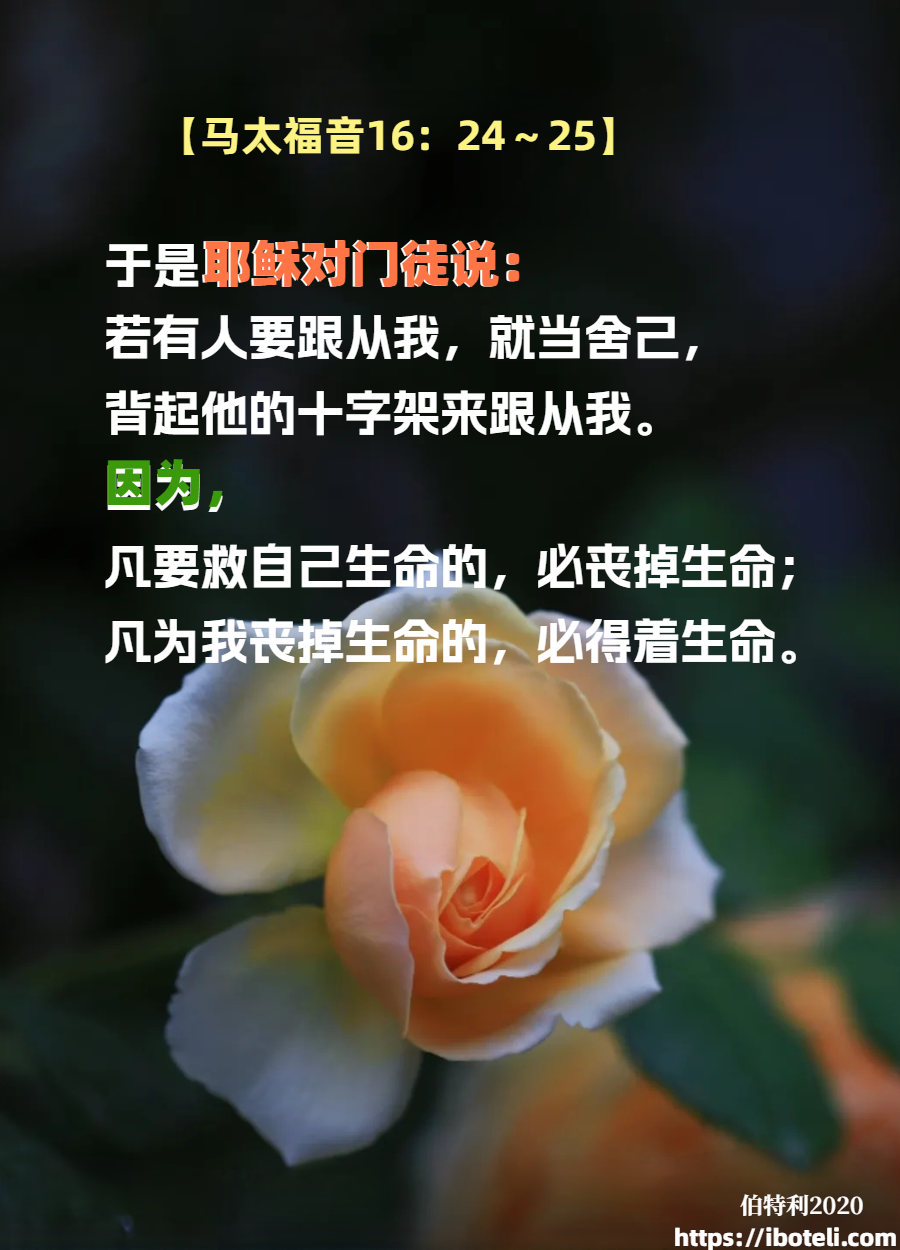 领会天父的心意（133）舍己背十架跟从主