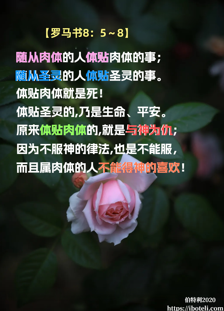 领会天父的心意（133）舍己背十架跟从主