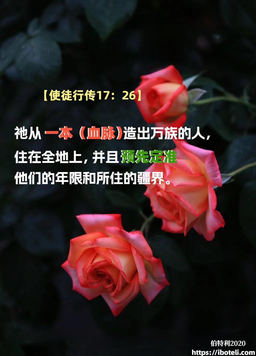 领会天父的心意（134）好好活就是神的旨意