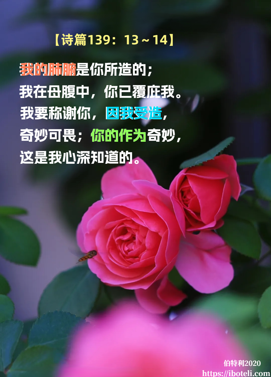 领会天父的心意（134）好好活就是神的旨意