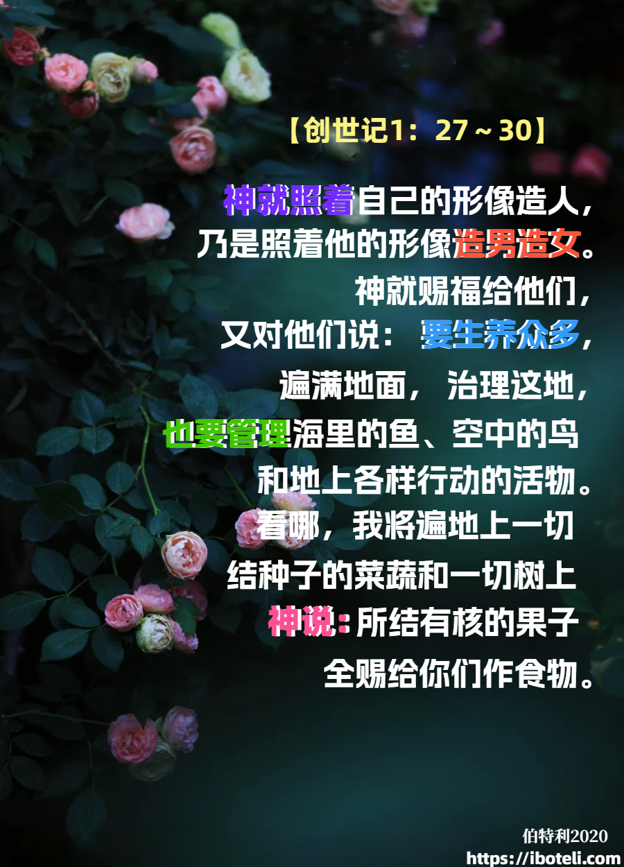 领会天父的心意（135）结婚生娃乃神的旨意
