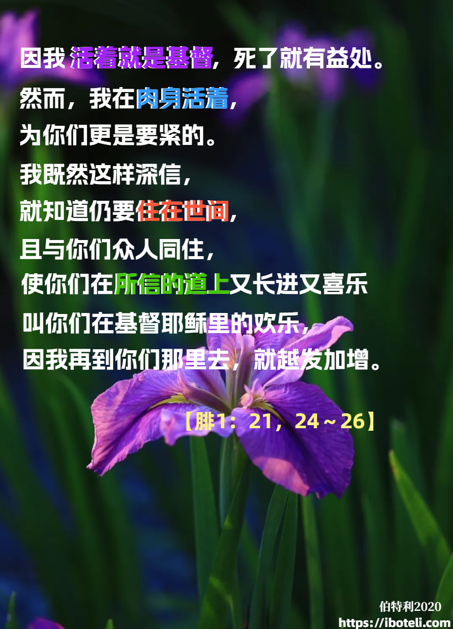 领会天父的心意（137）生命的意义