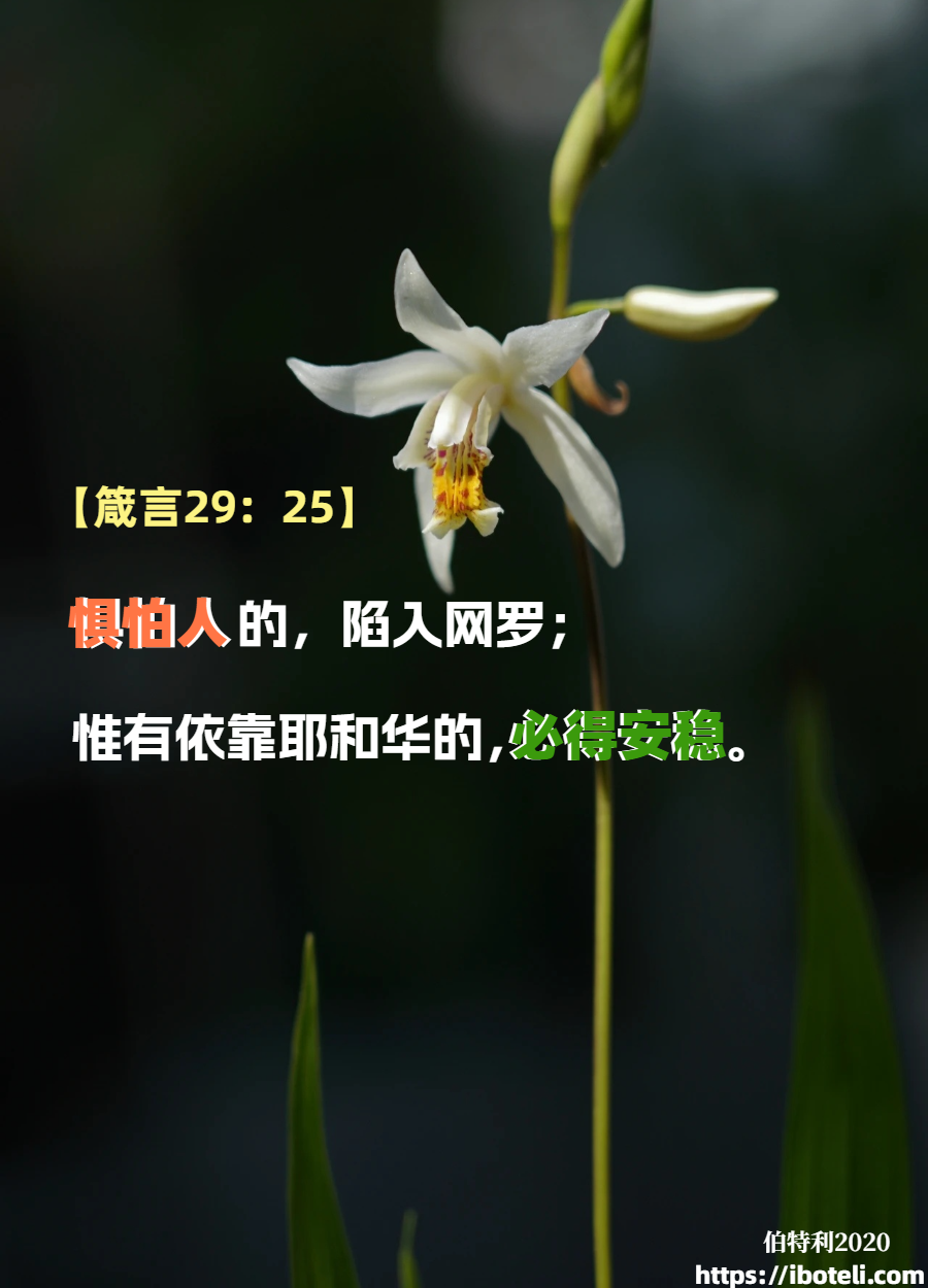 领会天父的心意（138）弃绝惧怕