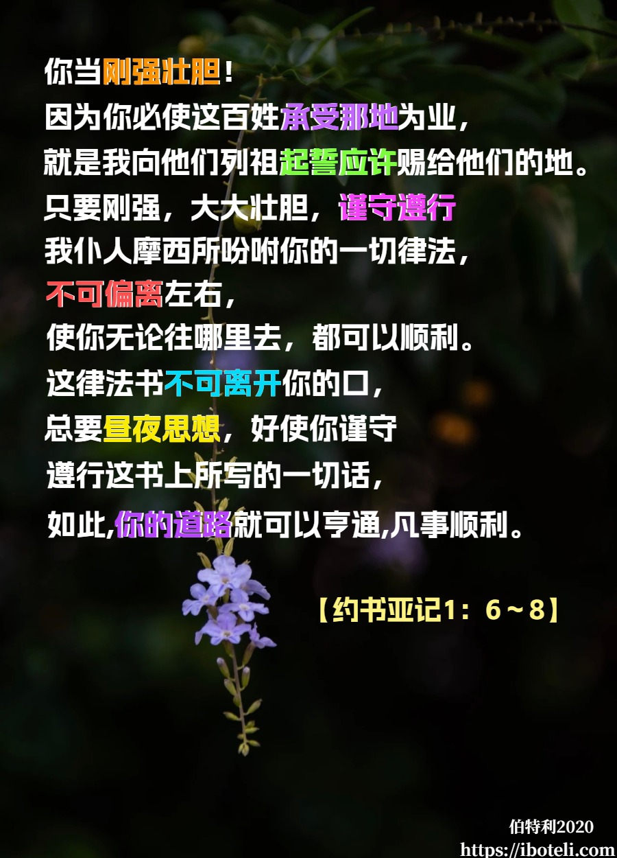 领会天父的心意（138）弃绝惧怕