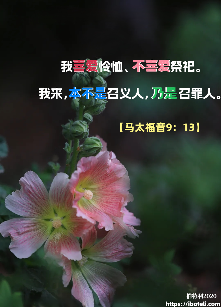 领会天父的心意（139）怜悯胜于祭祀