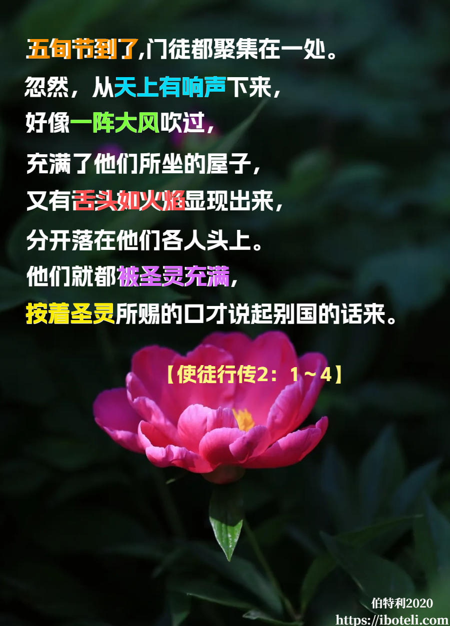 领会天父的心意（140）神的显现