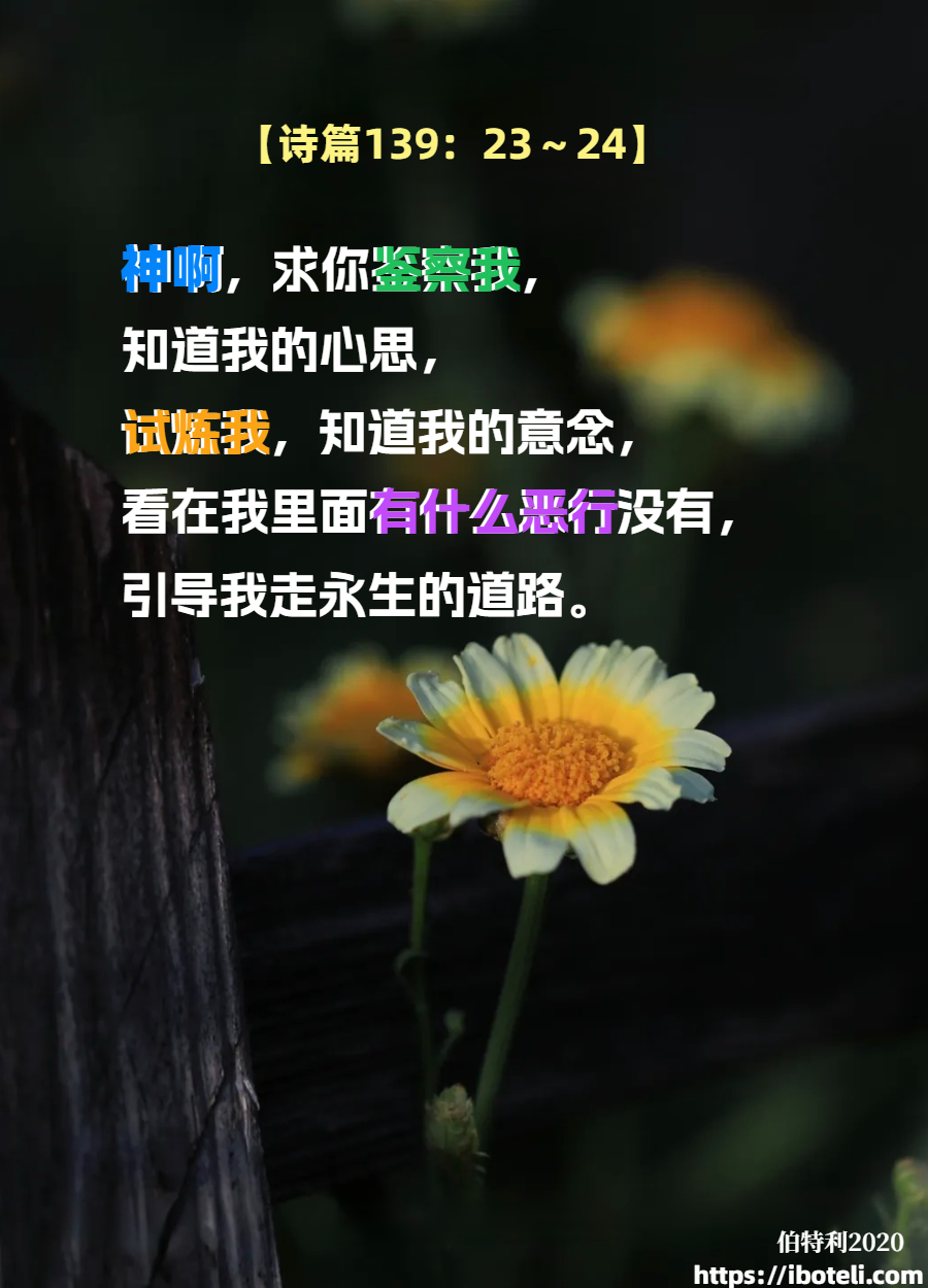 领会天父的心意（141）驱除悖逆