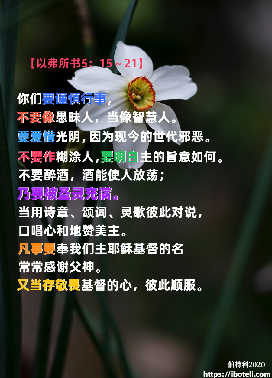 领会天父的心意（143）赎回光阴