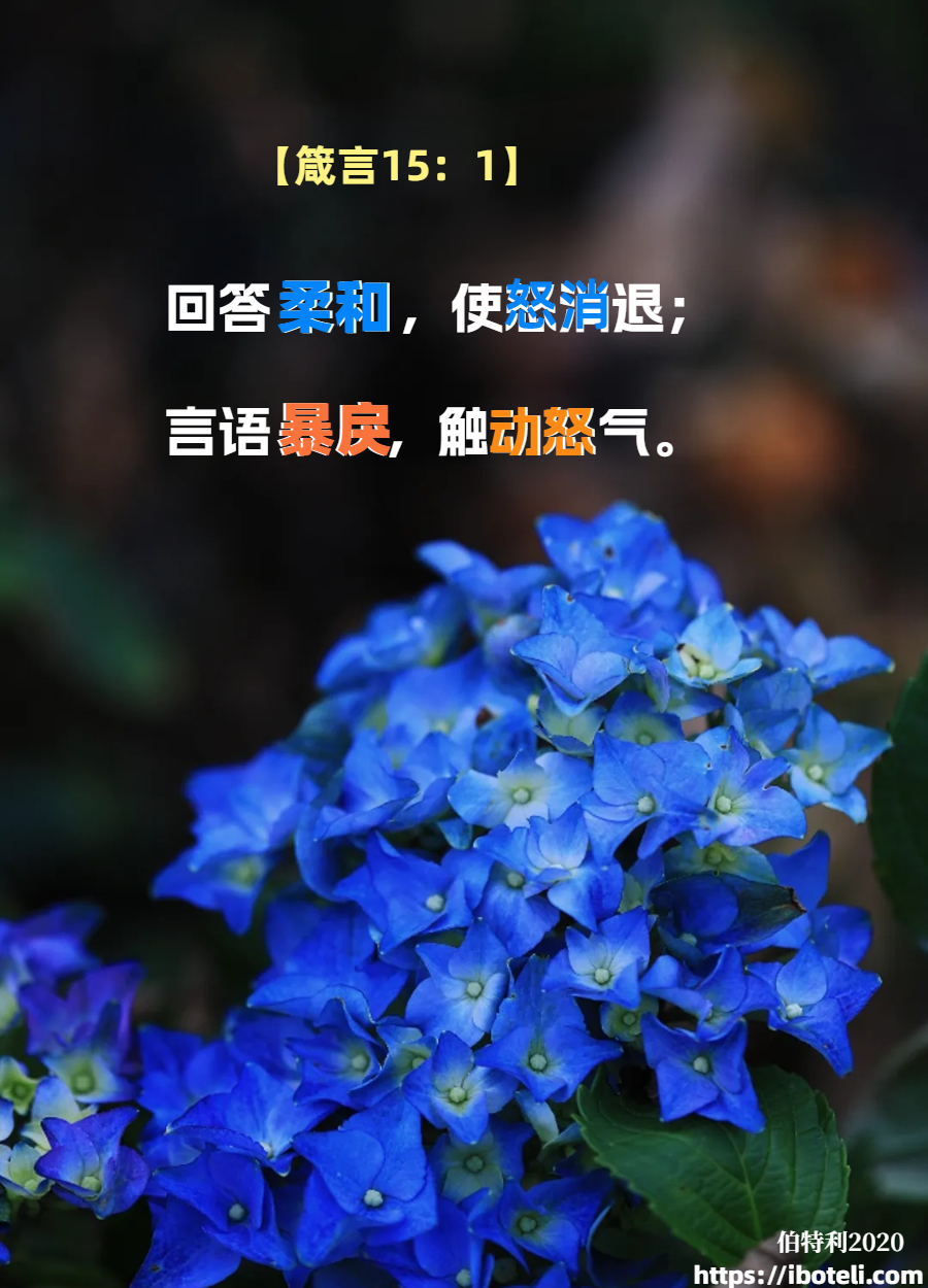 领会天父的心意（144）温柔以待