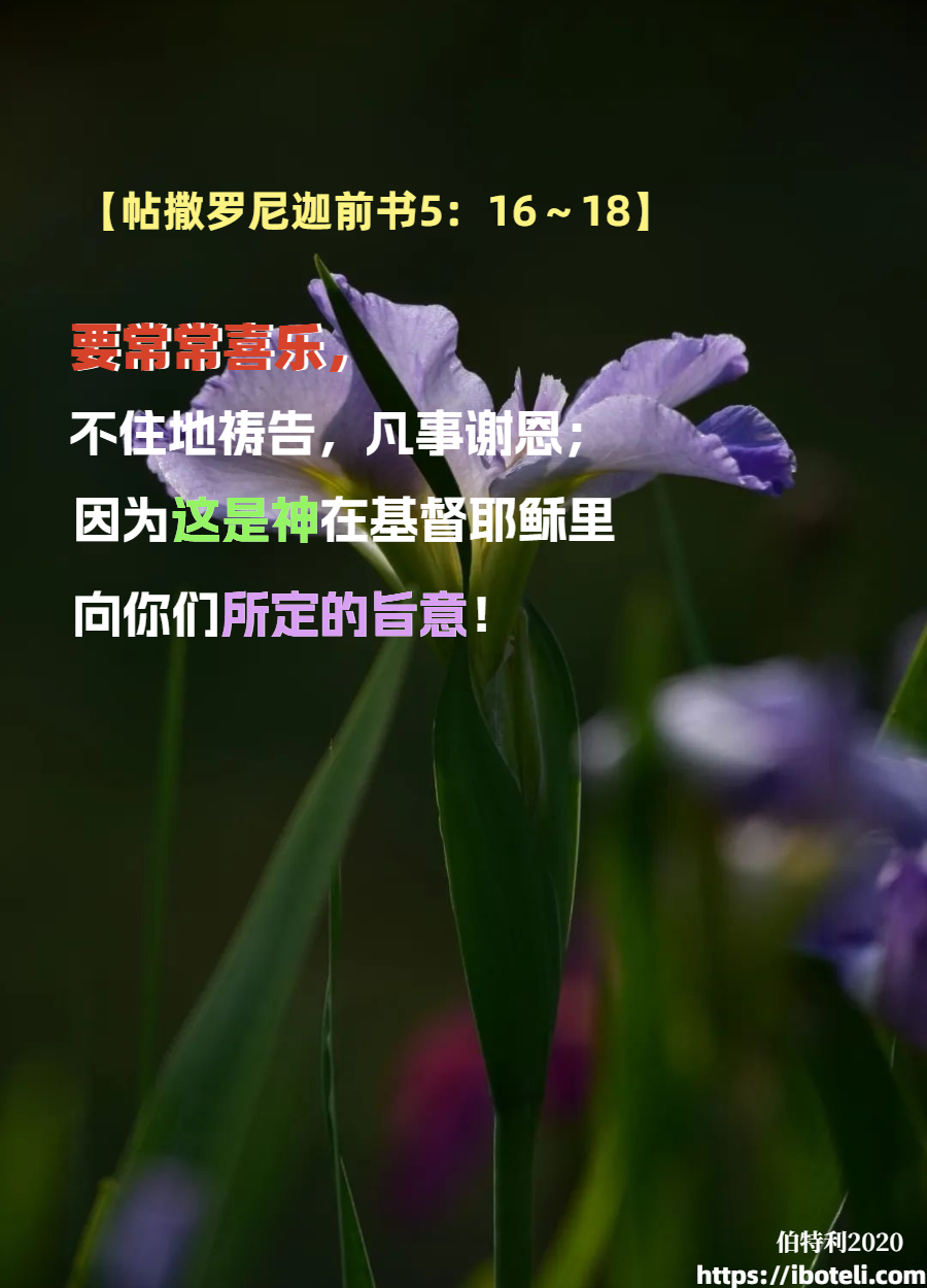 领会天父的心意（145）感恩代表信心