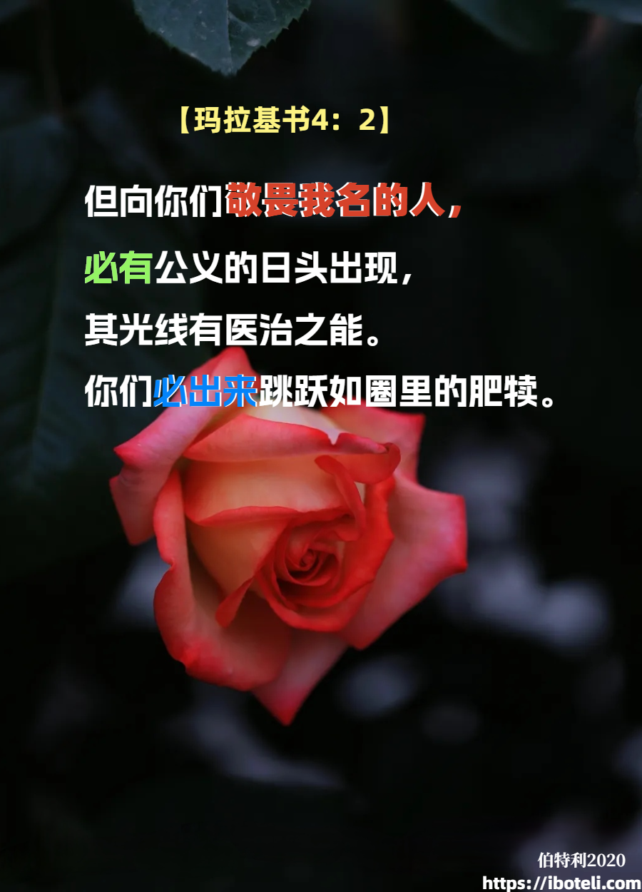 领会天父的心意（146）公义日头有医治之能