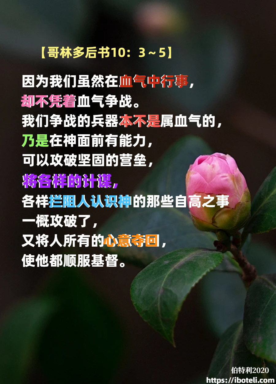 领会天父的心意（147）攻破营垒夺回人心