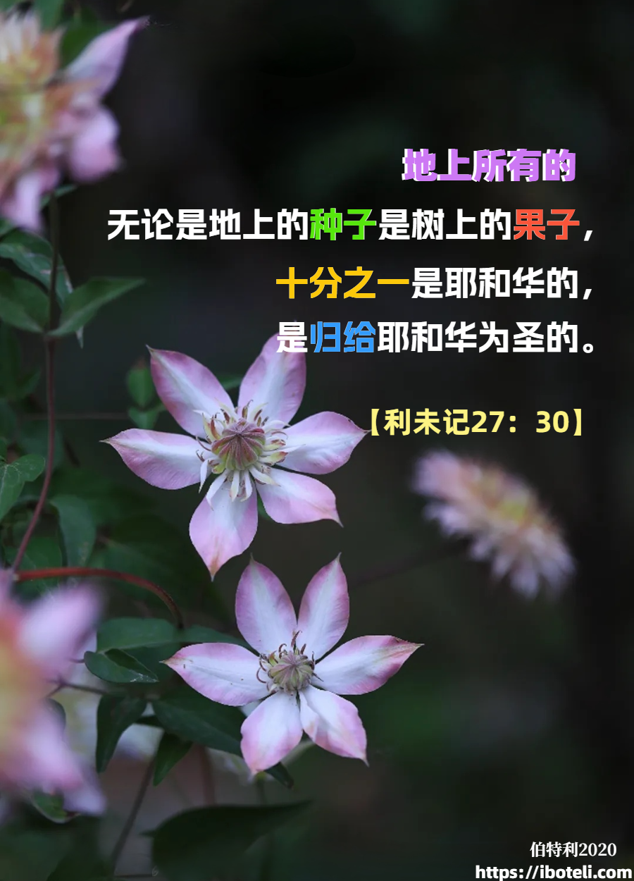 领会天父的心意（148）归耶和华为圣