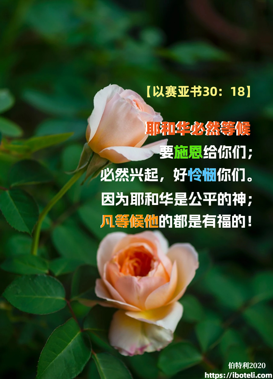领会天父的心意（149）等候主的有福