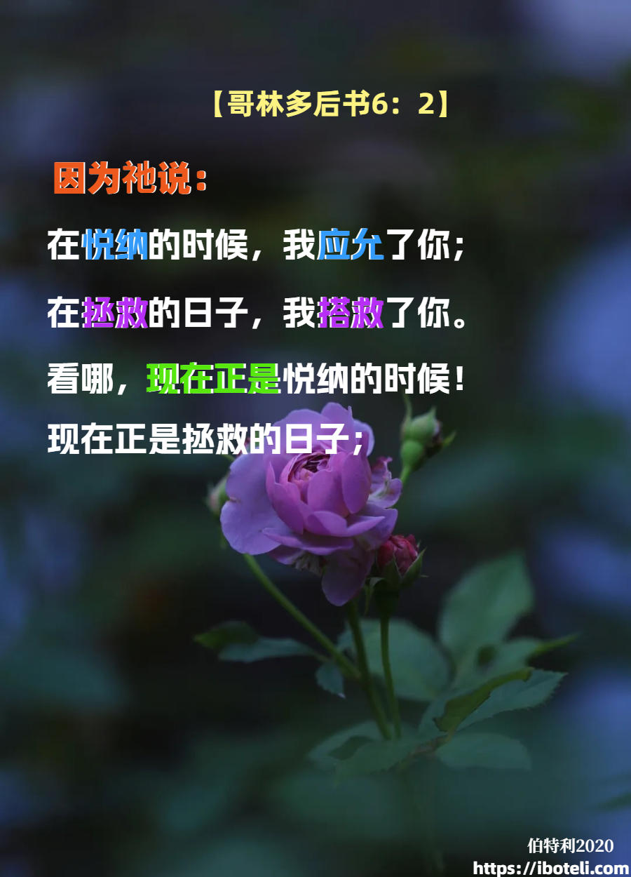 领会天父的心意（150）把握机会