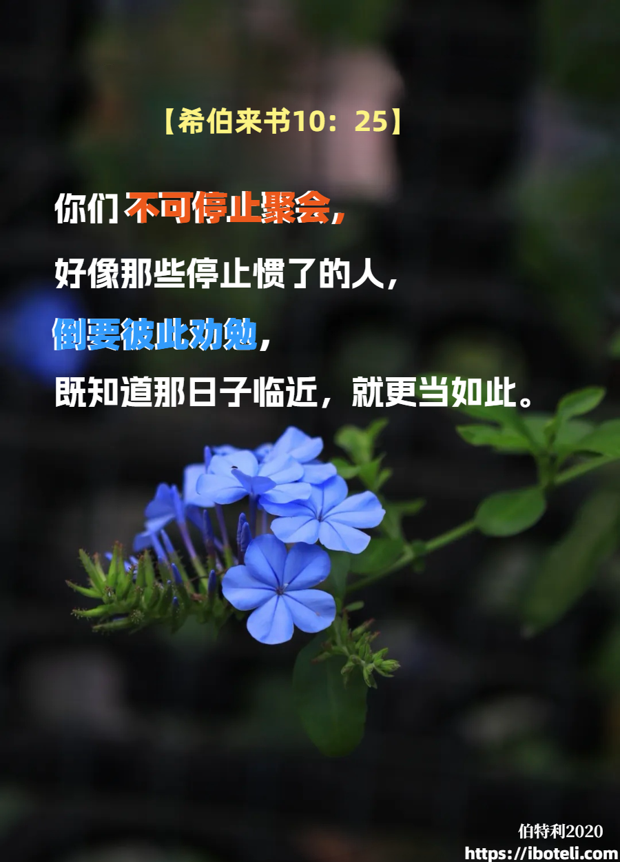 领会天父的心意（151）停止挣扎，加入团契