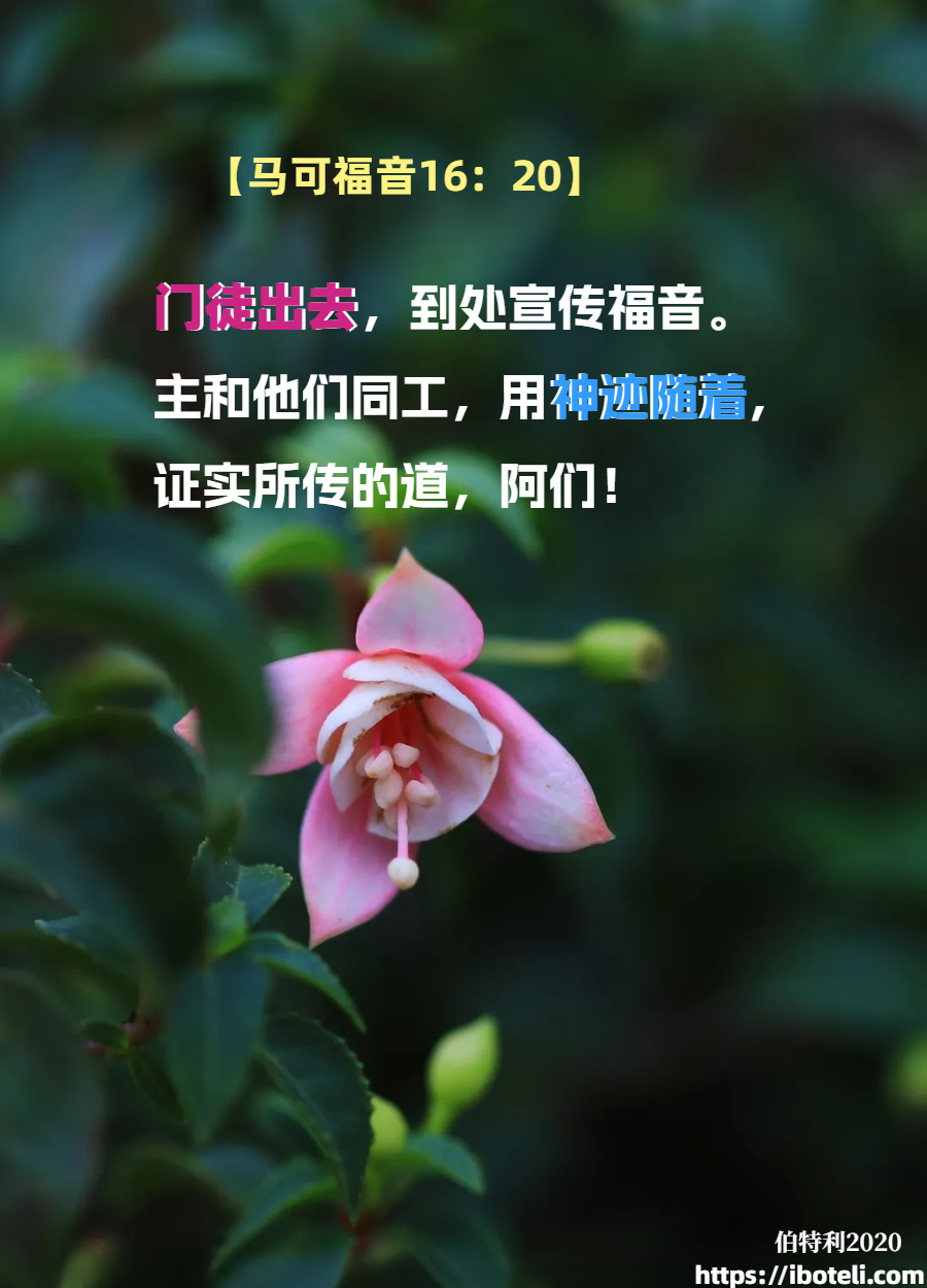 领会天父的心意（152）福音性神迹