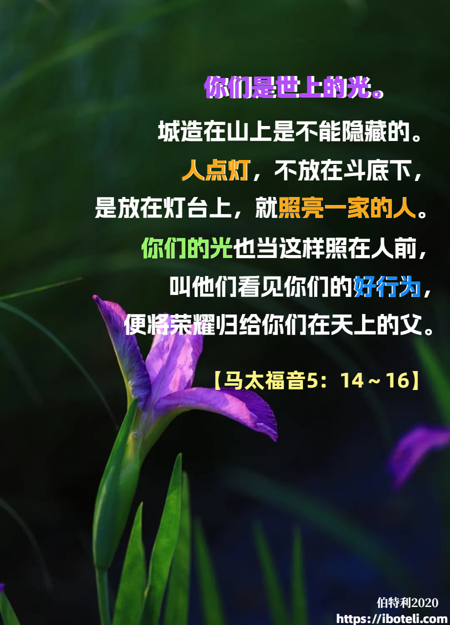 领会天父的心意（153）生命的光