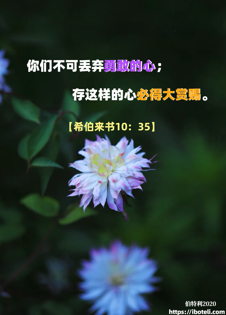 领会天父的心意（154）不可丢弃勇敢的心