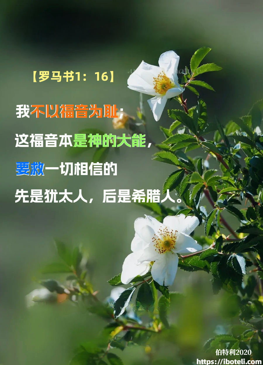 领会天父的心意（155）福音本是神的大能
