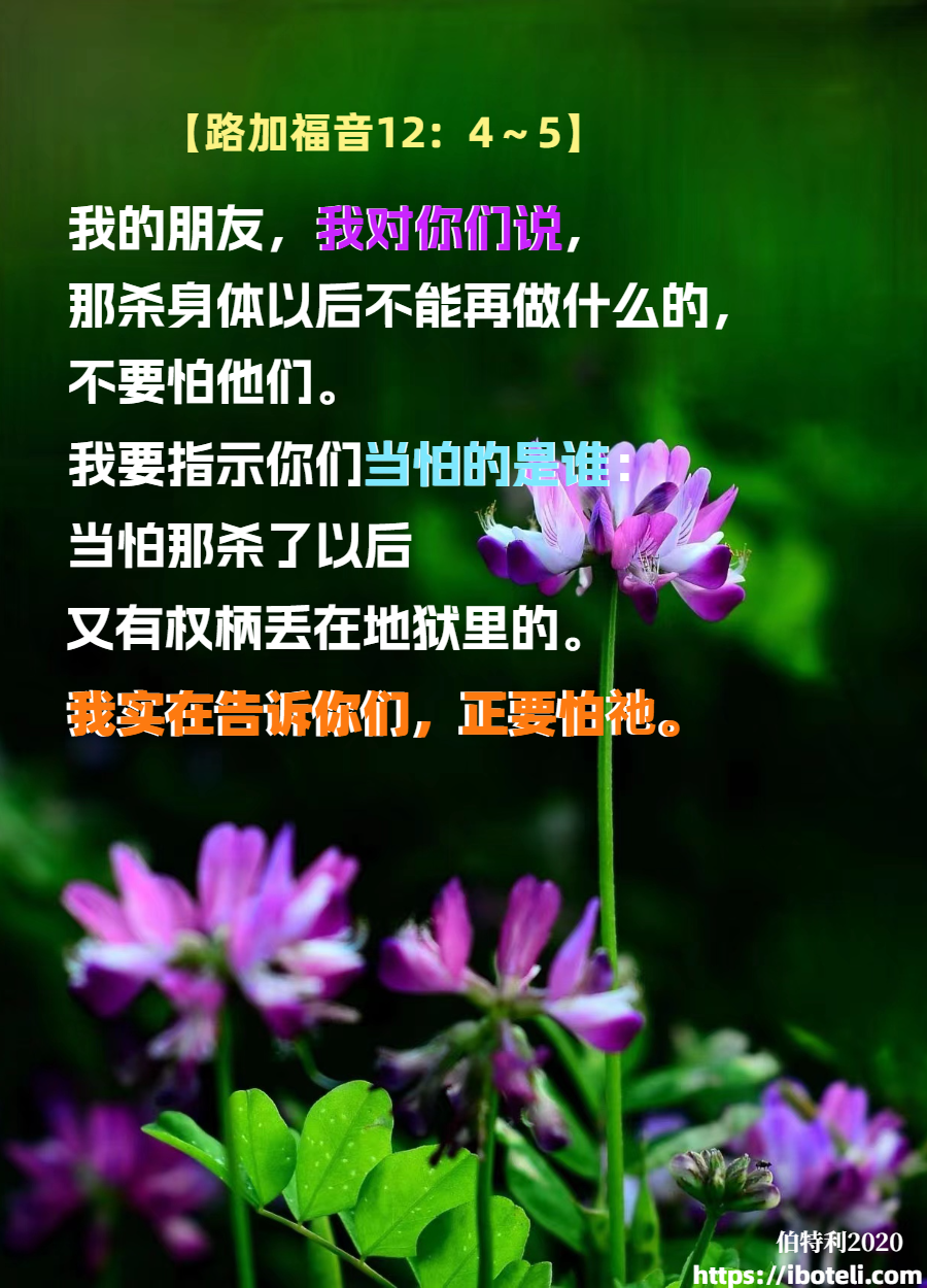 领会天父的心意（156）驱除惧怕